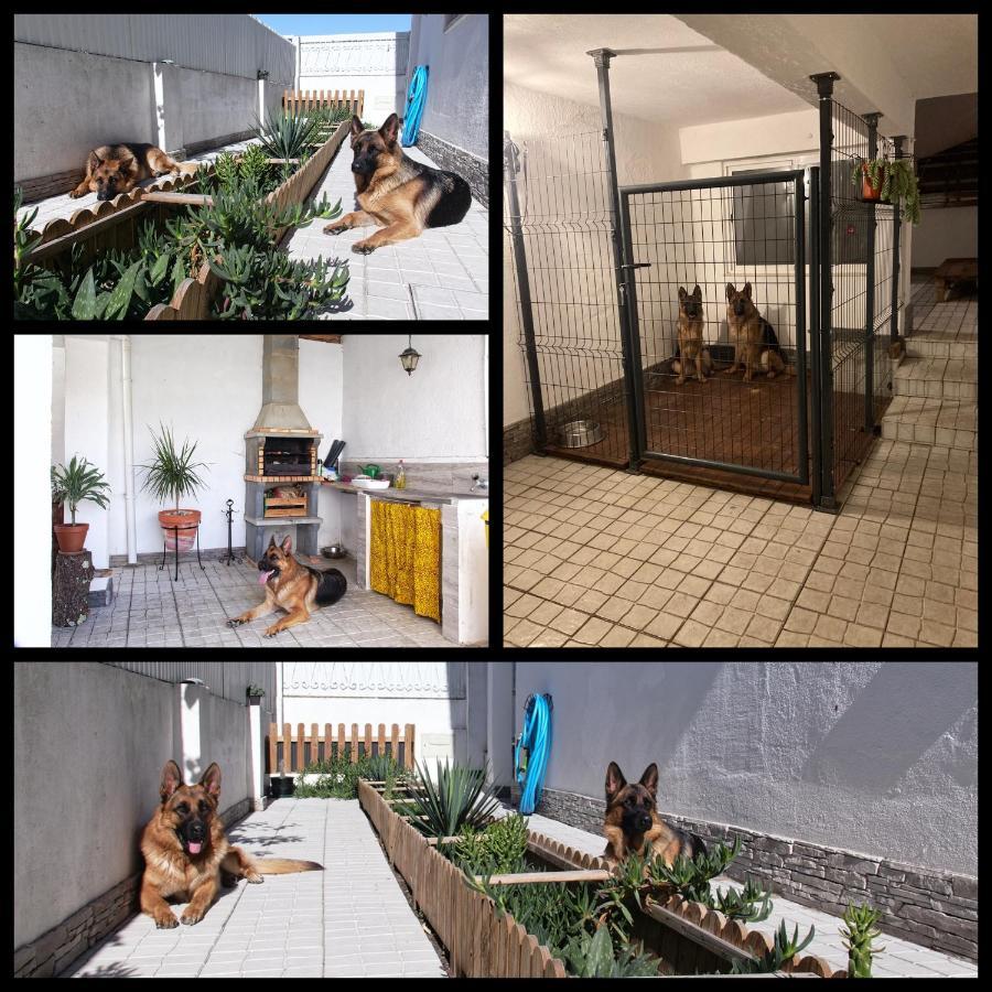 Toca Do Lobo Apartamento Charneca  Exterior foto