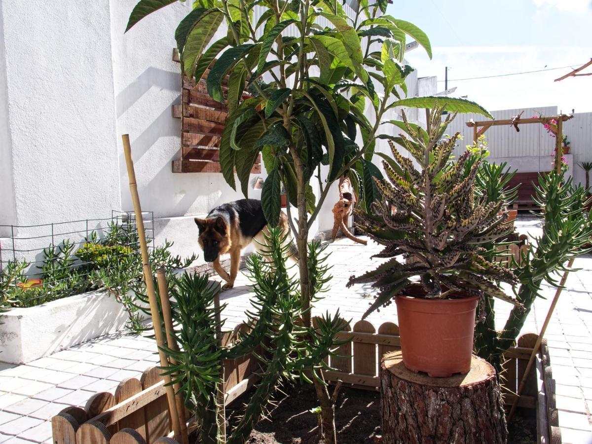 Toca Do Lobo Apartamento Charneca  Exterior foto